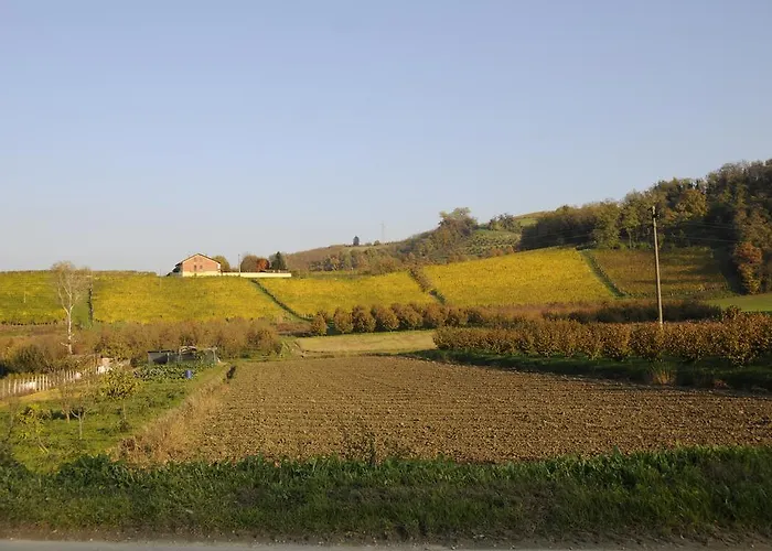 Dom wakacyjny Cascina Tra Le Vecchie Vigne Con Piscina